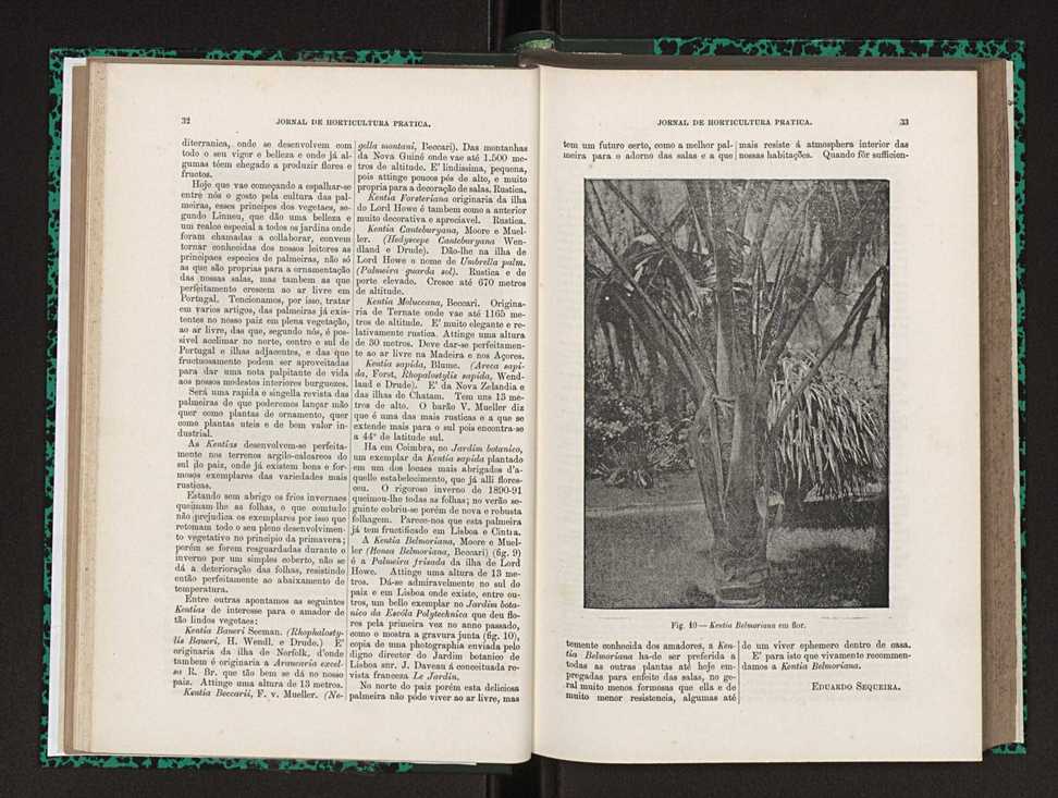 Jornal de horticultura prtica XXIII 23