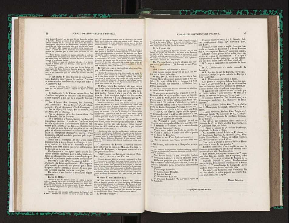 Jornal de horticultura prtica XXIII 25