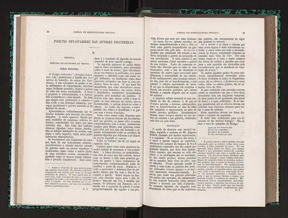 Jornal de horticultura prtica XXIII 26