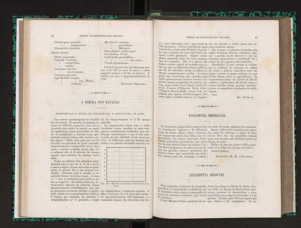 Jornal de horticultura pr�tica XXIII 28