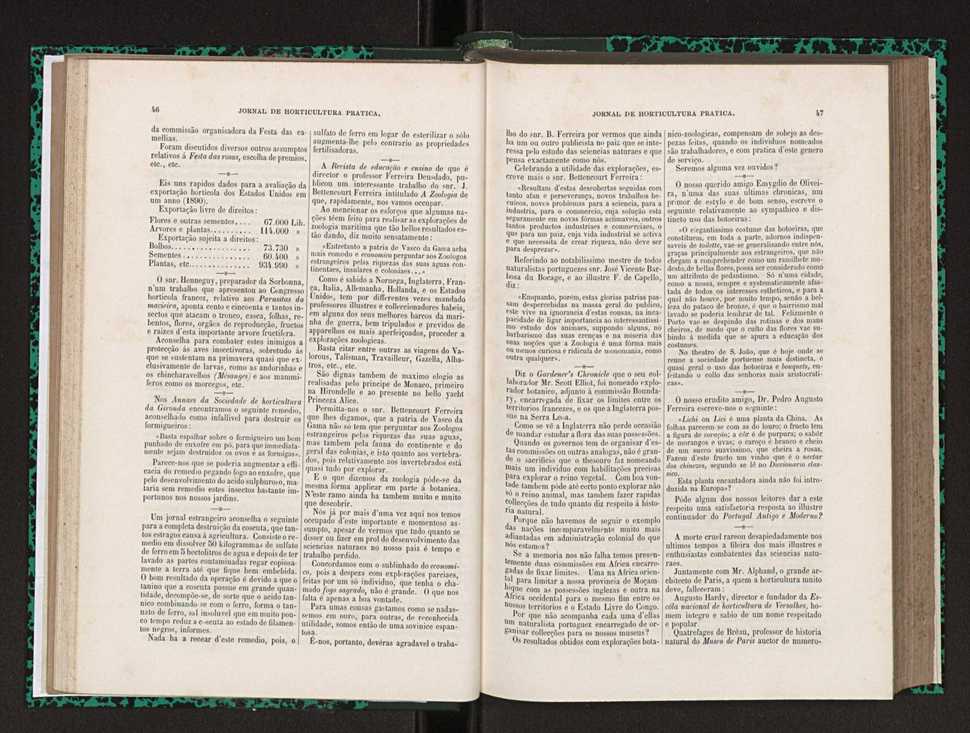 Jornal de horticultura prtica XXIII 30