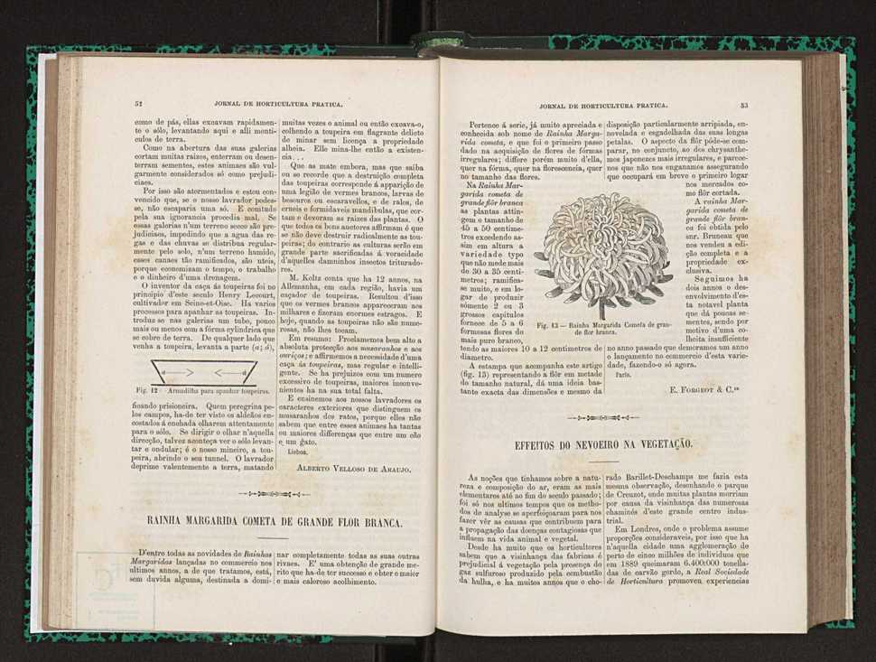 Jornal de horticultura prtica XXIII 33