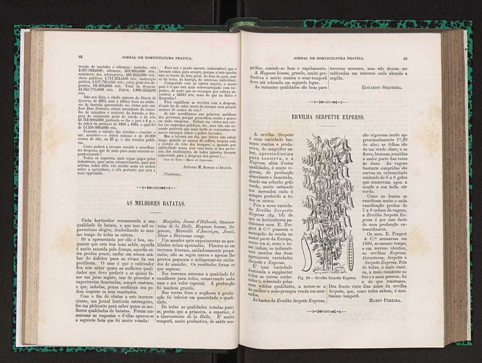 Jornal de horticultura prtica XXIII 38