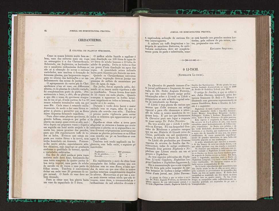 Jornal de horticultura prtica XXIII 39