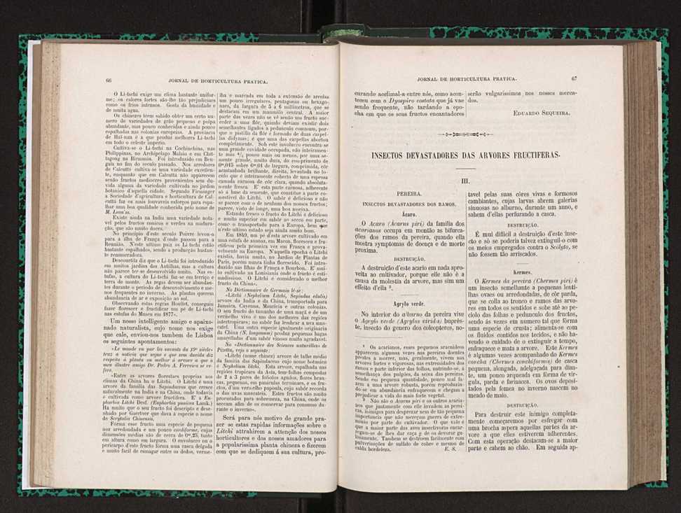 Jornal de horticultura prtica XXIII 40