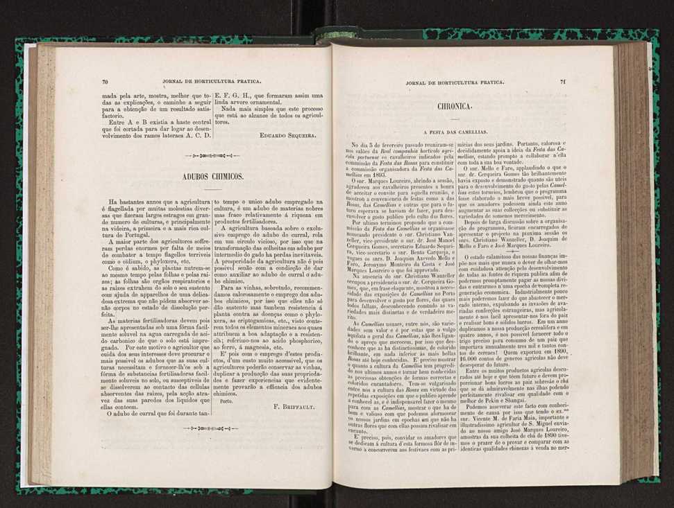 Jornal de horticultura prtica XXIII 42