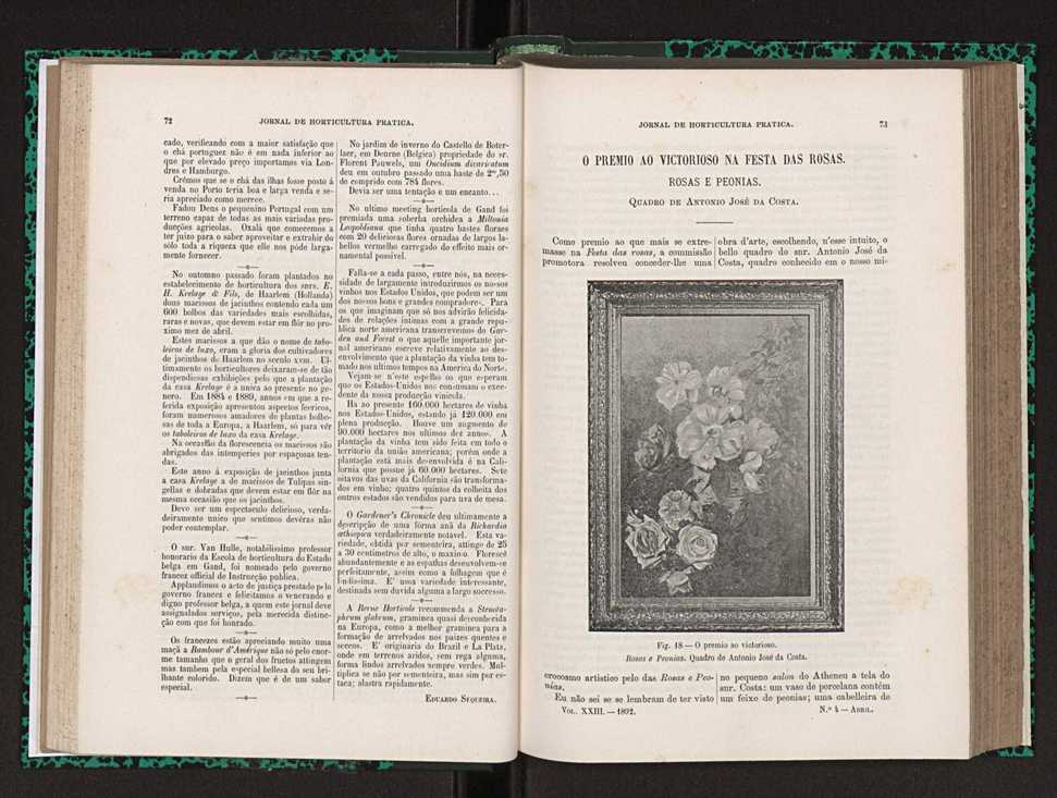 Jornal de horticultura prtica XXIII 43