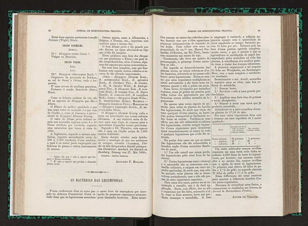 Jornal de horticultura prtica XXIII 47