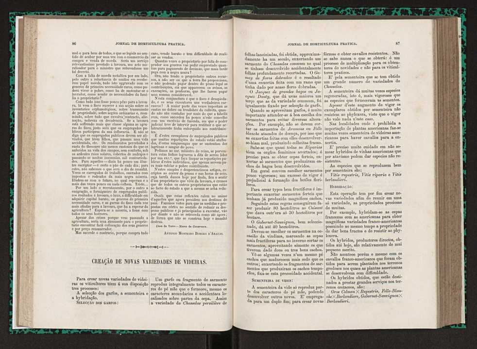 Jornal de horticultura prtica XXIII 50
