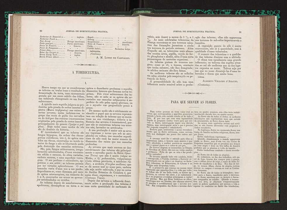 Jornal de horticultura prtica XXIII 52