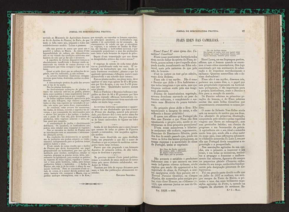 Jornal de horticultura prtica XXIII 55