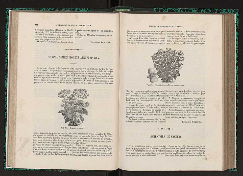 Jornal de horticultura prtica XXIII 63