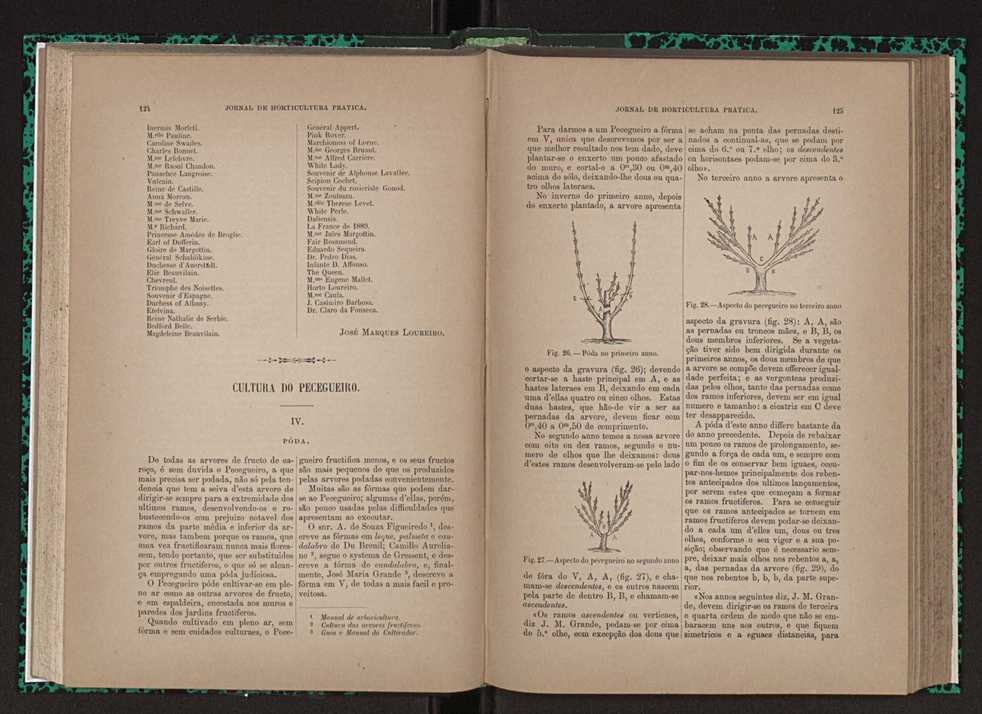 Jornal de horticultura prtica XXIII 69