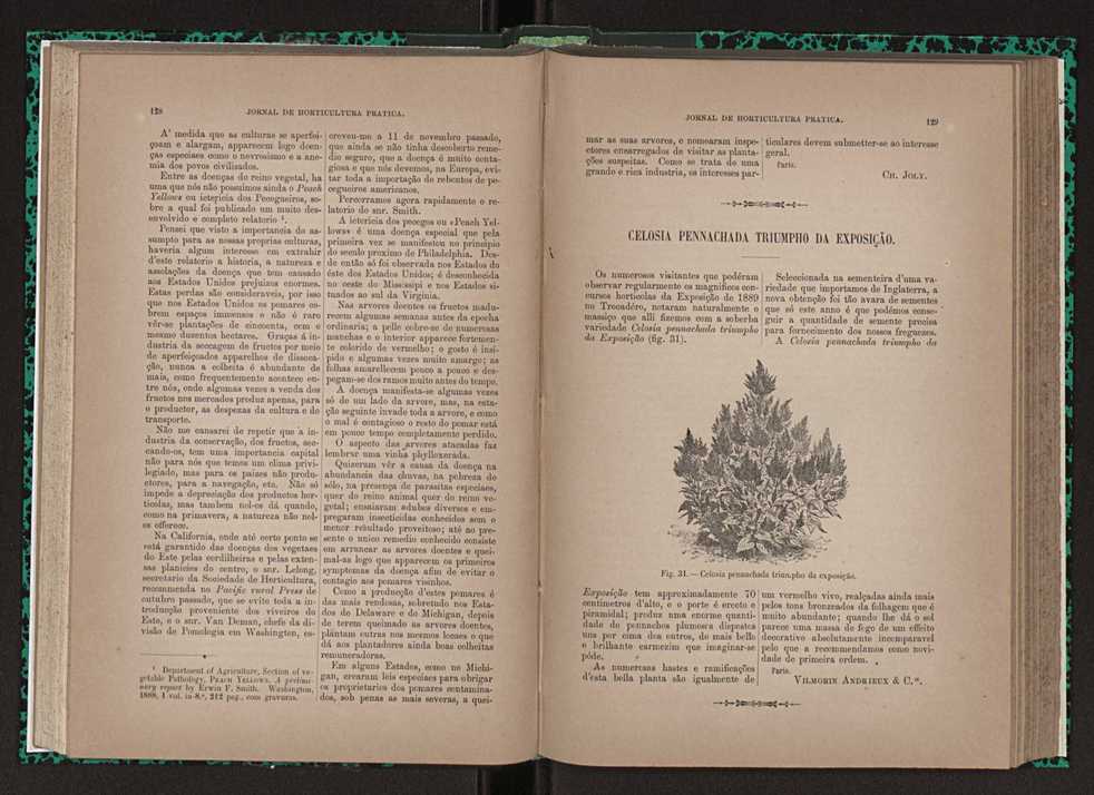 Jornal de horticultura prtica XXIII 71