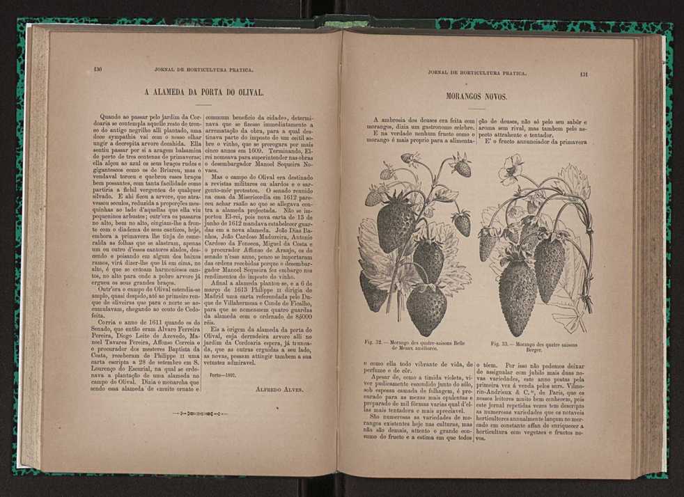Jornal de horticultura prtica XXIII 72
