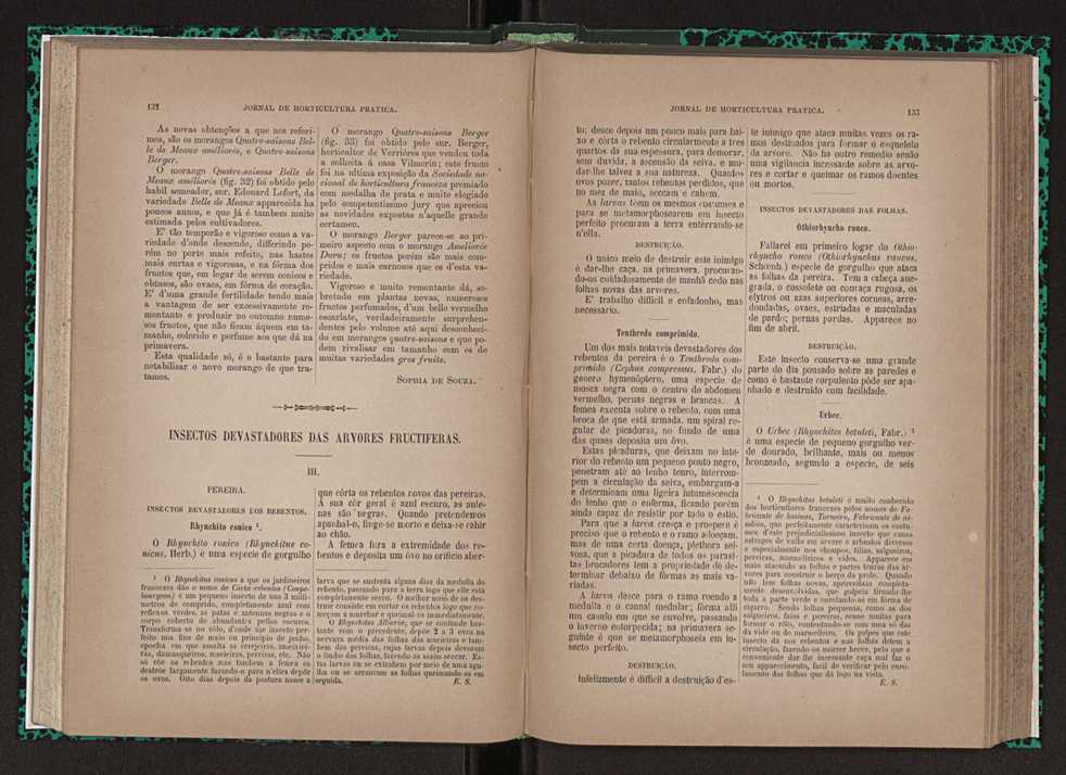 Jornal de horticultura prtica XXIII 73