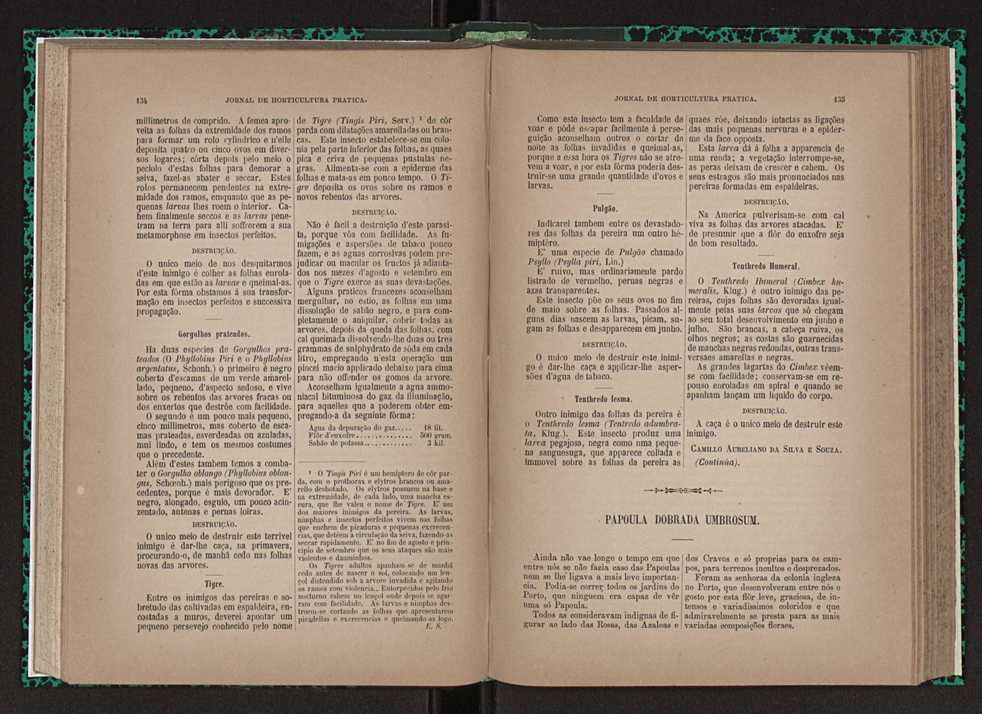 Jornal de horticultura pr�tica XXIII 74