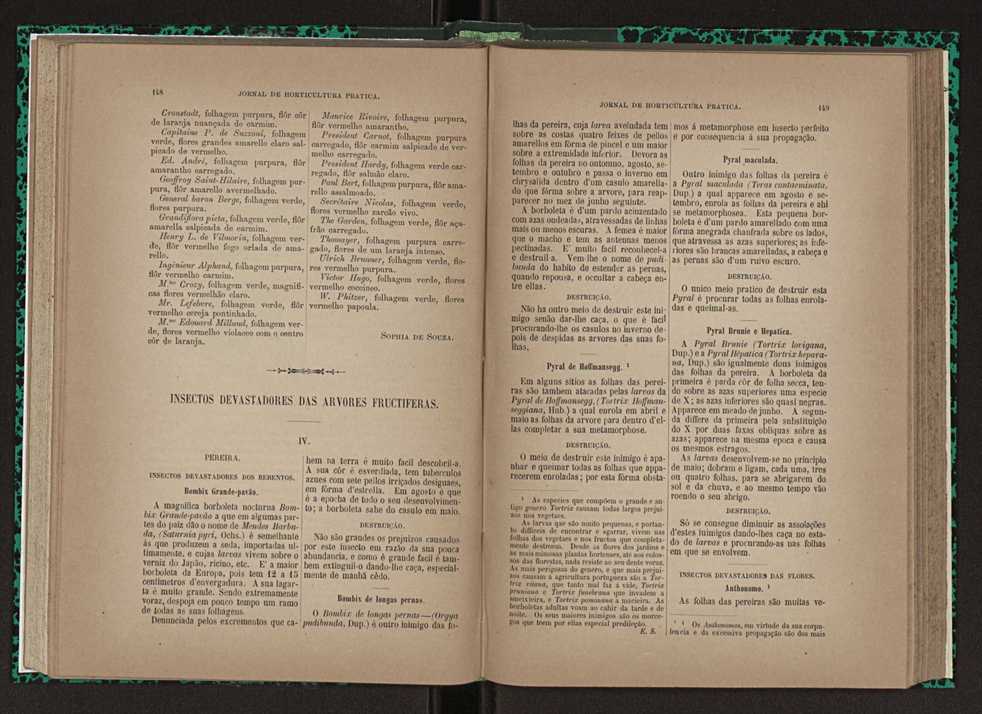Jornal de horticultura prtica XXIII 81