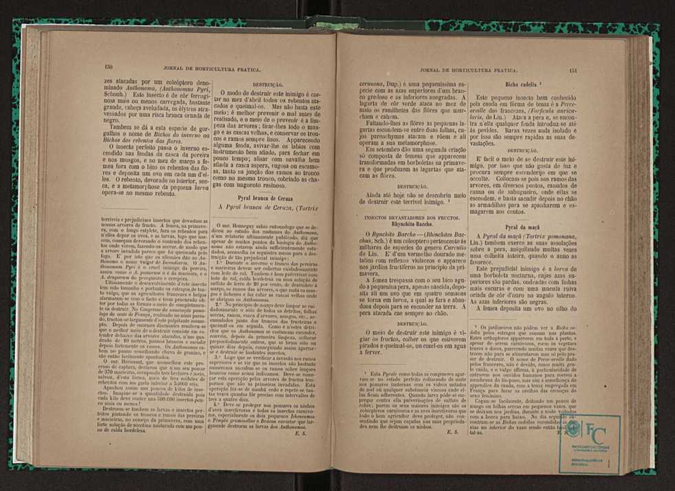 Jornal de horticultura prtica XXIII 82
