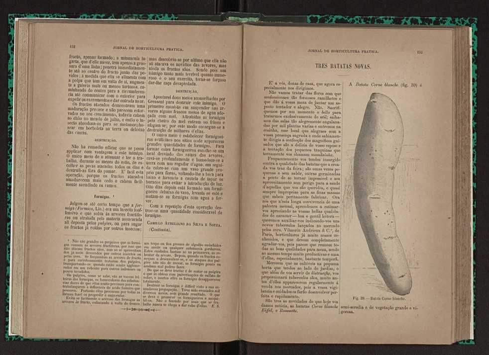 Jornal de horticultura prtica XXIII 83