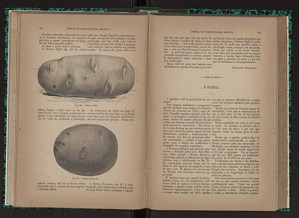 Jornal de horticultura prtica XXIII 84