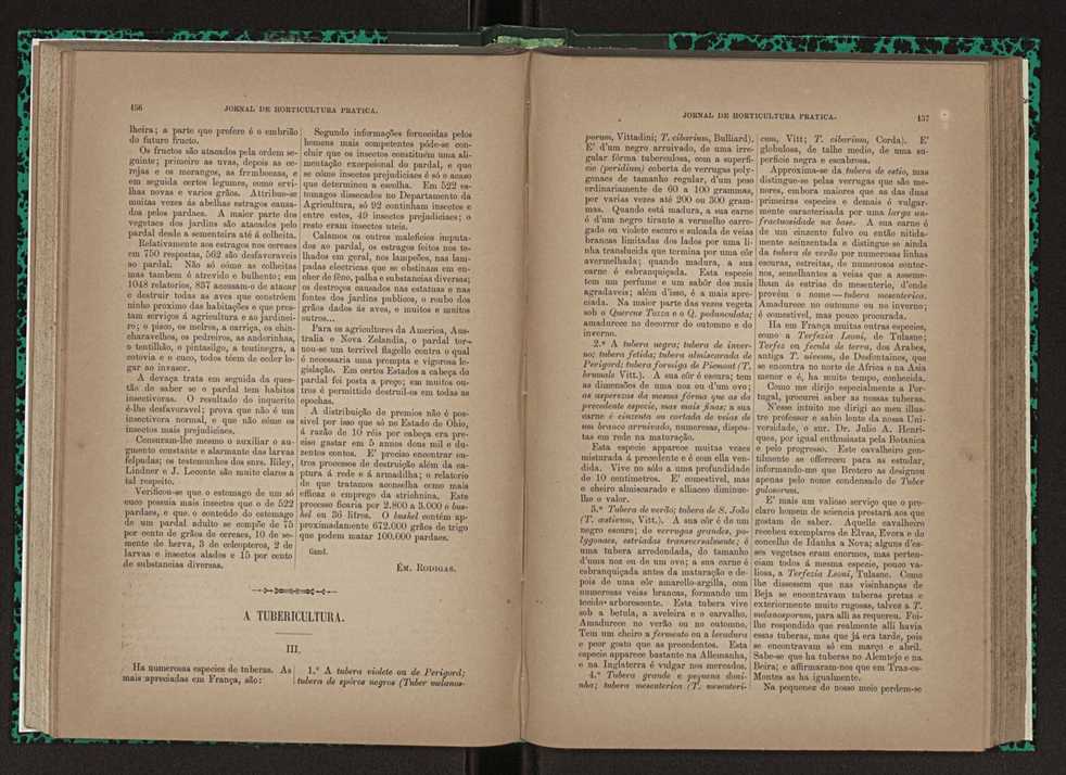 Jornal de horticultura prtica XXIII 85