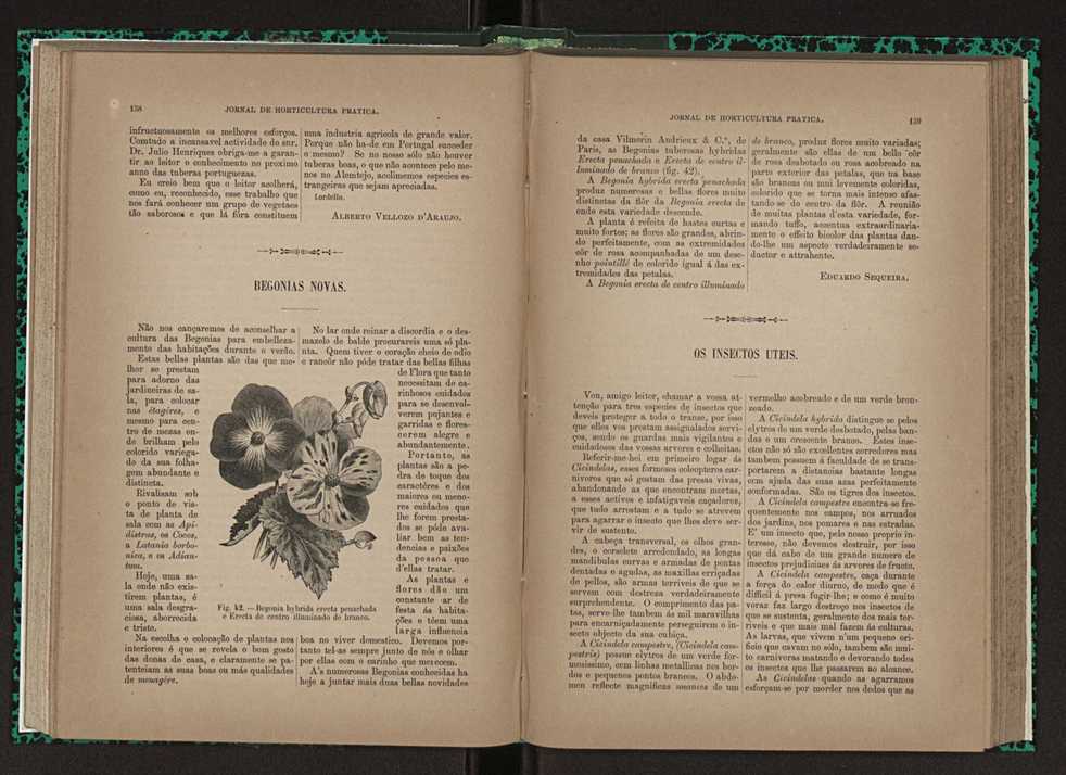Jornal de horticultura prtica XXIII 86
