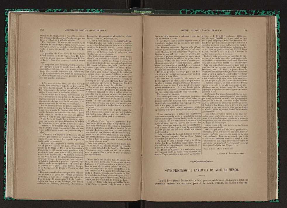 Jornal de horticultura prtica XXIII 88