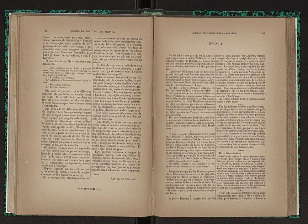Jornal de horticultura prtica XXIII 89