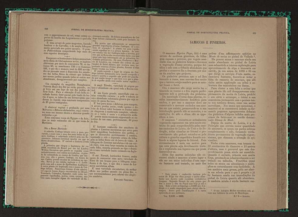 Jornal de horticultura prtica XXIII 91