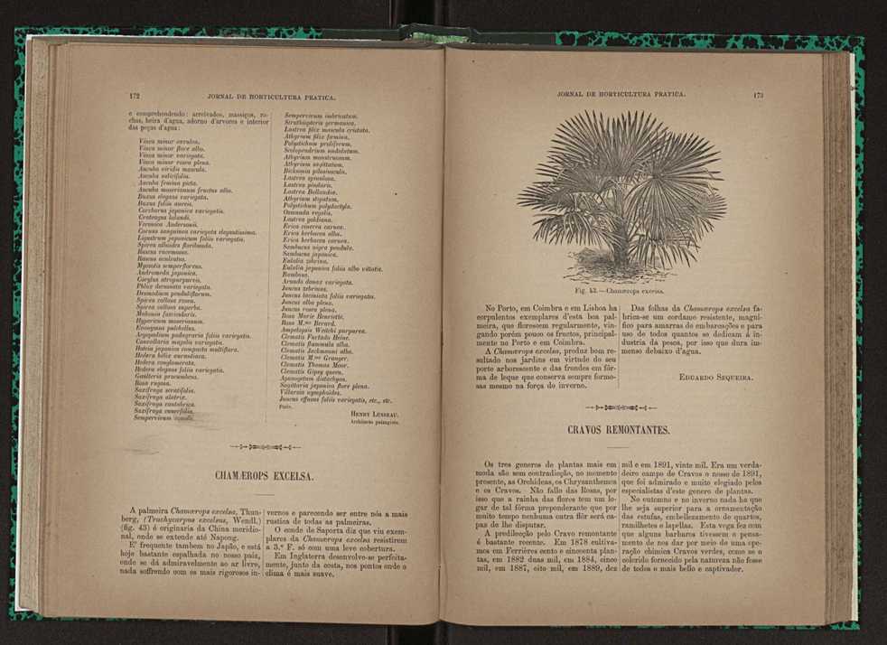 Jornal de horticultura prtica XXIII 93