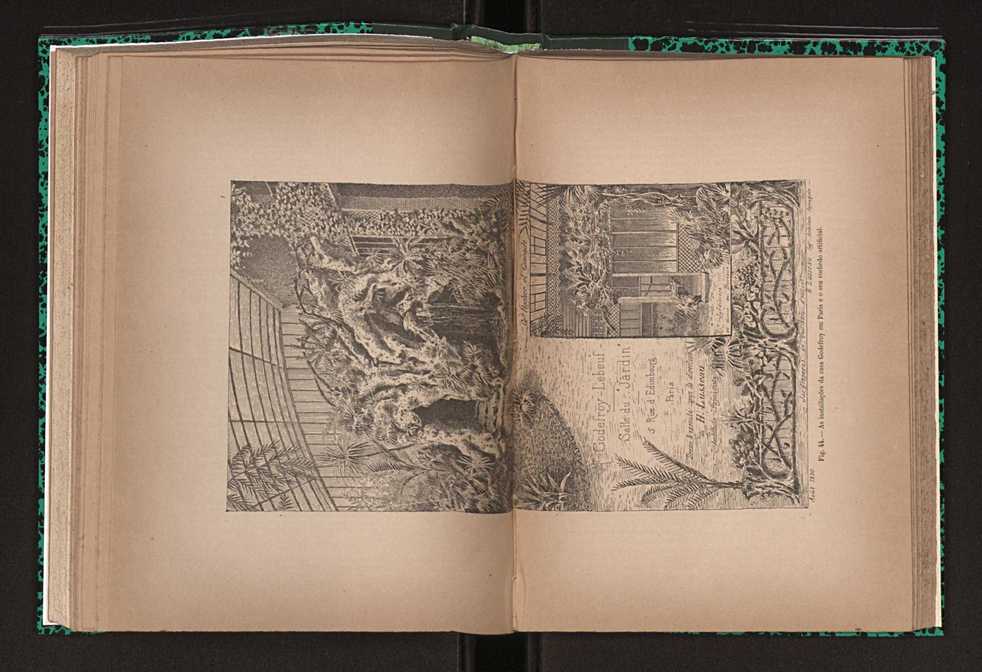 Jornal de horticultura prtica XXIII 95