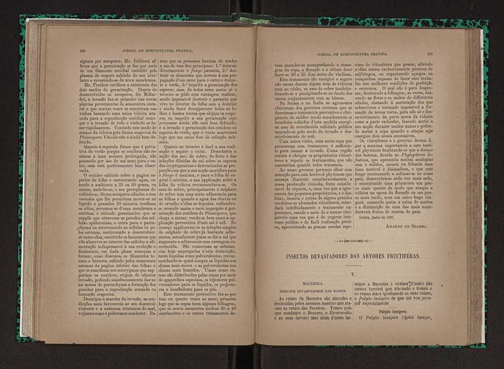 Jornal de horticultura prtica XXIII 97