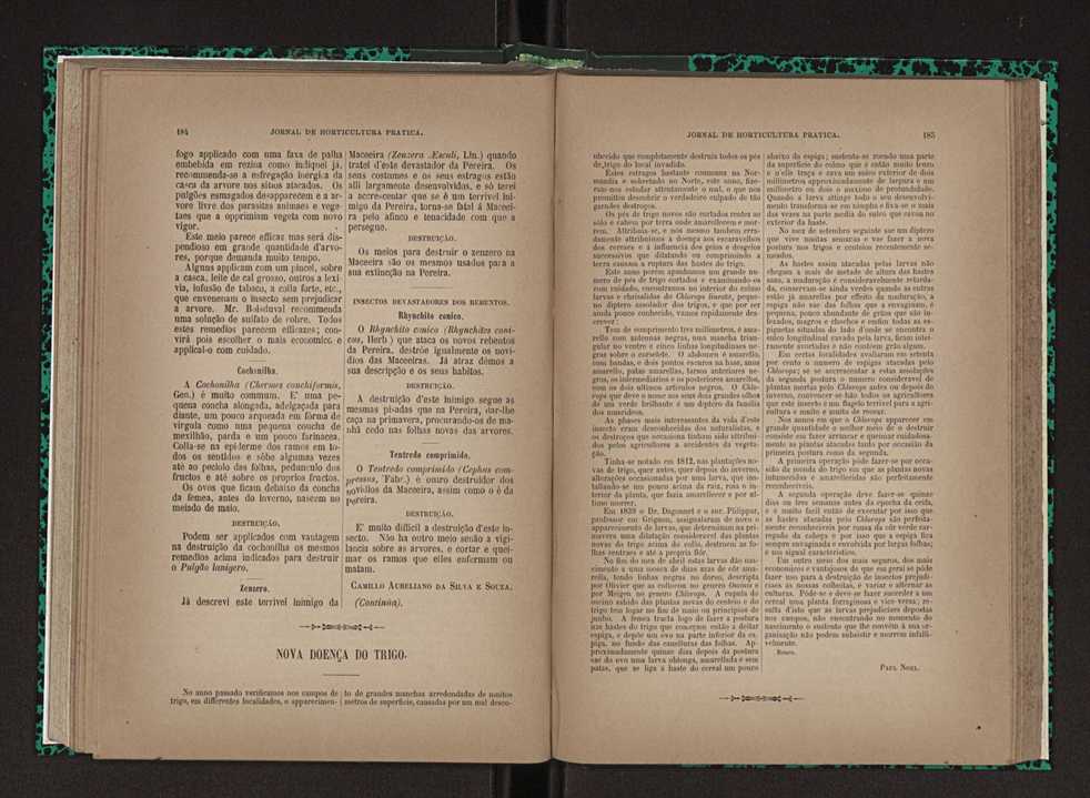 Jornal de horticultura prtica XXIII 99