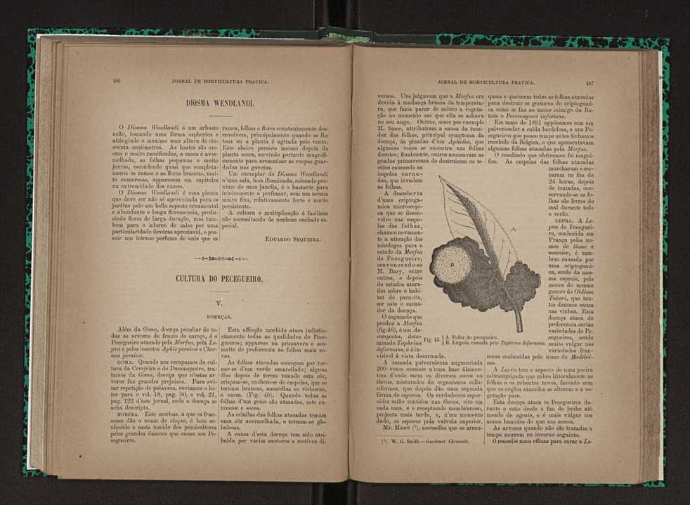 Jornal de horticultura prtica XXIII 100
