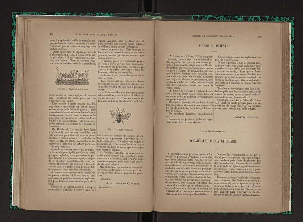 Jornal de horticultura prtica XXIII 101