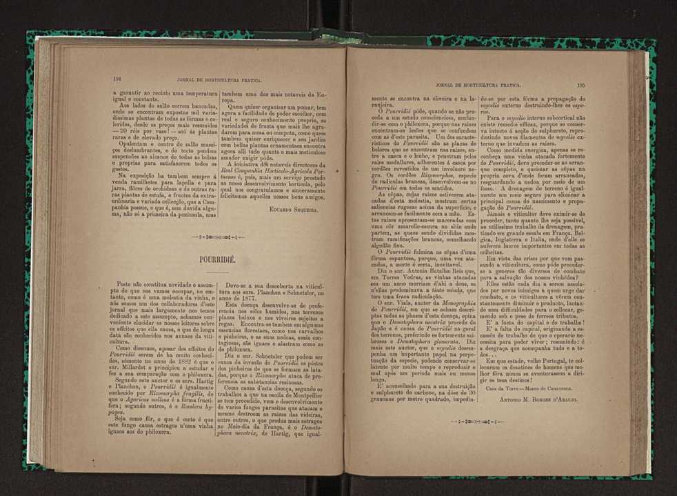 Jornal de horticultura prtica XXIII 104