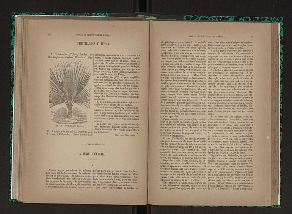 Jornal de horticultura prtica XXIII 105