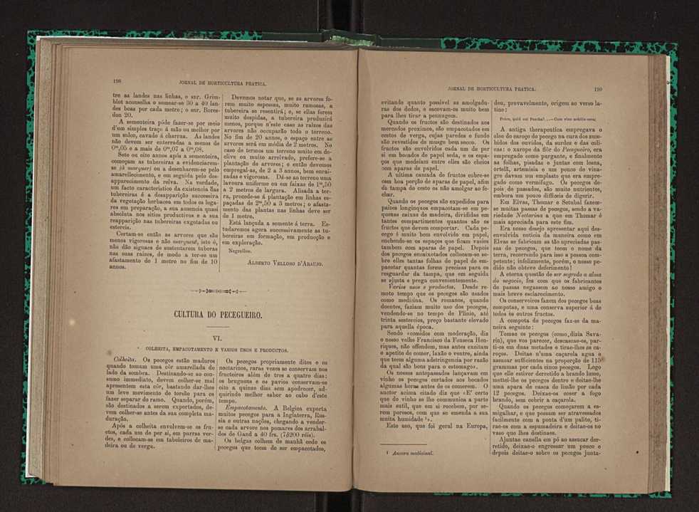 Jornal de horticultura prtica XXIII 106