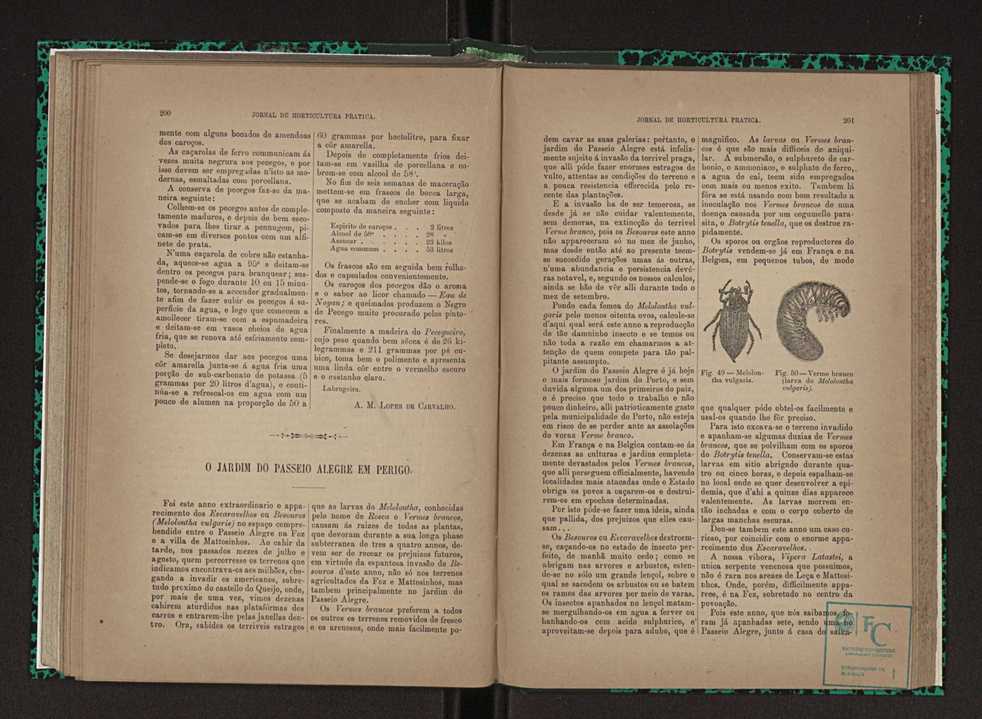 Jornal de horticultura prtica XXIII 107