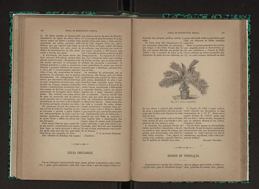 Jornal de horticultura prtica XXIII 109