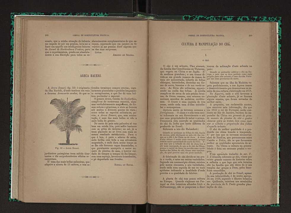 Jornal de horticultura prtica XXIII 111