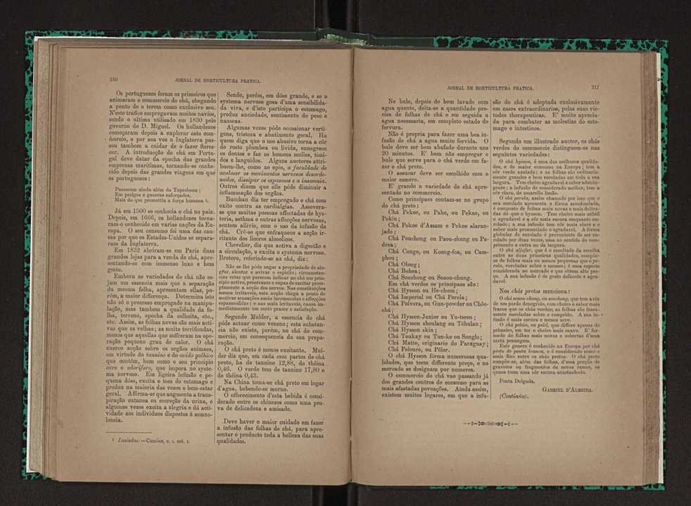 Jornal de horticultura prtica XXIII 112