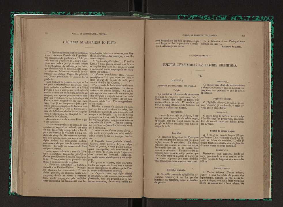 Jornal de horticultura prtica XXIII 113