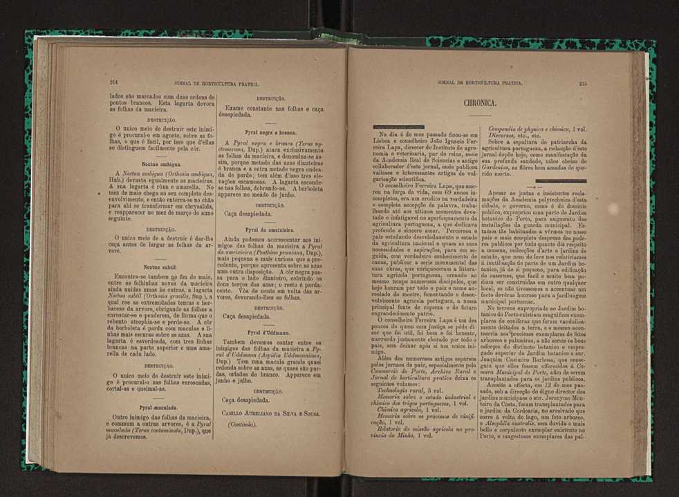Jornal de horticultura prtica XXIII 114