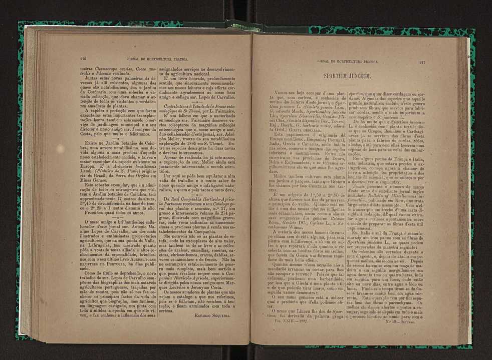 Jornal de horticultura prtica XXIII 115