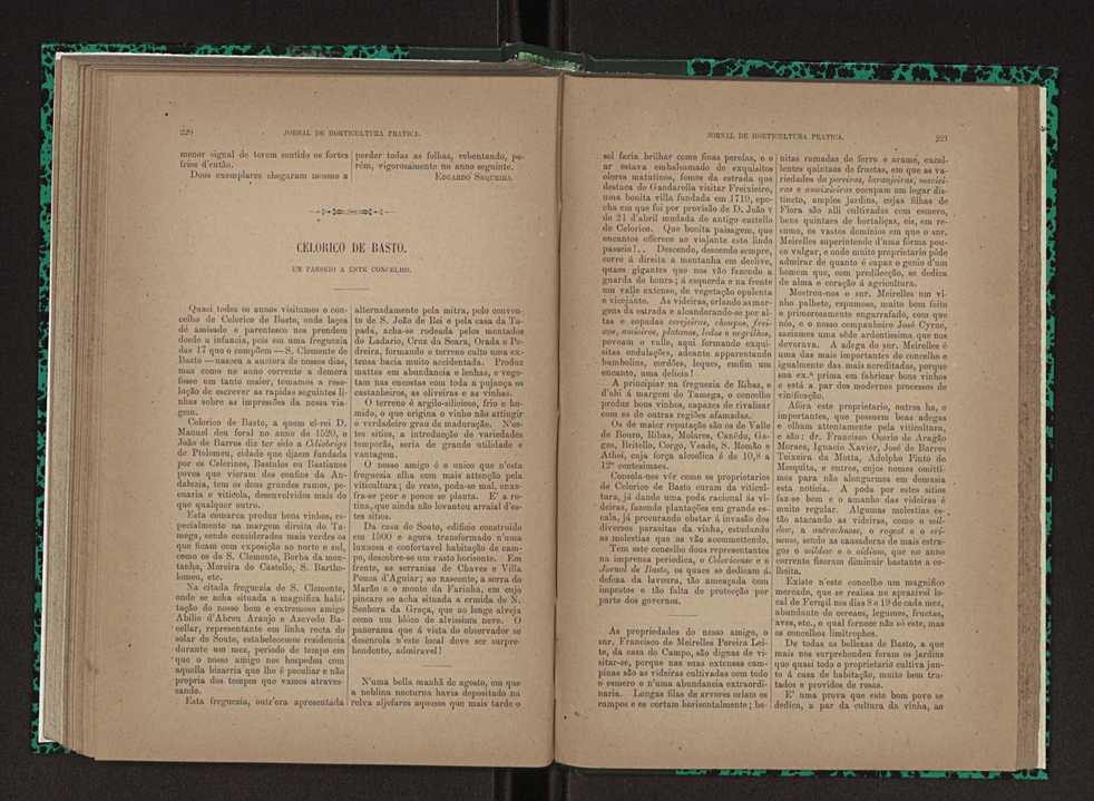 Jornal de horticultura prtica XXIII 117