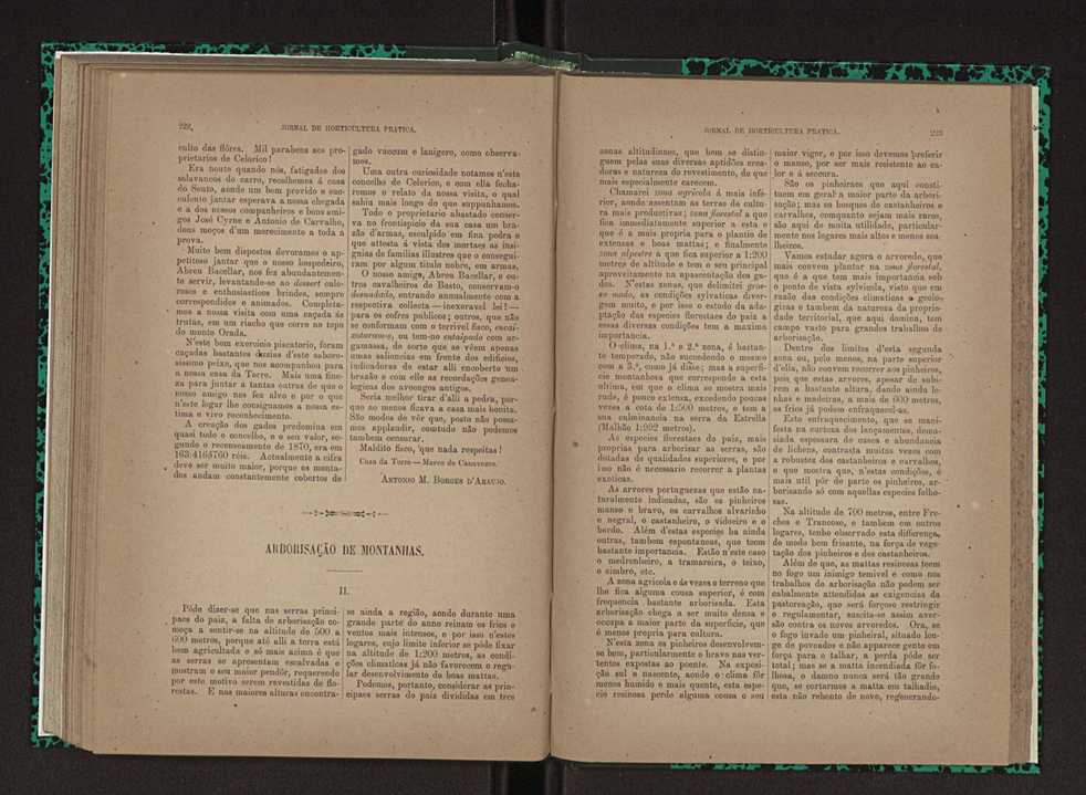 Jornal de horticultura prtica XXIII 118