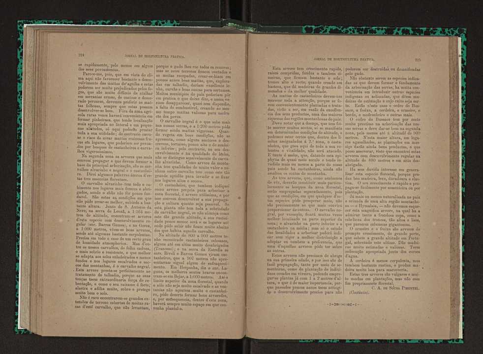 Jornal de horticultura pr�tica XXIII 119