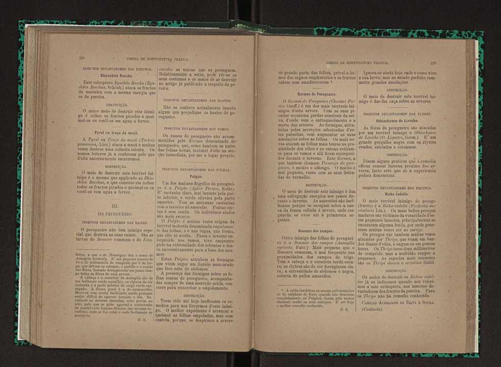 Jornal de horticultura prtica XXIII 121